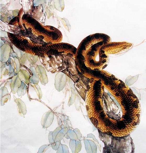 苦日子到头,不出一个月赚钱如流水,轻松致富的4大属相