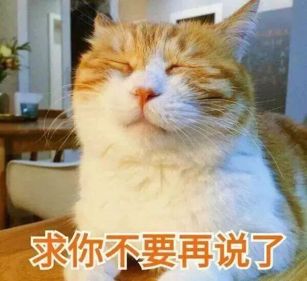 每次听到这首抖音洗脑神曲,俺都头皮发麻到想翻白眼:"我们一起学猫叫