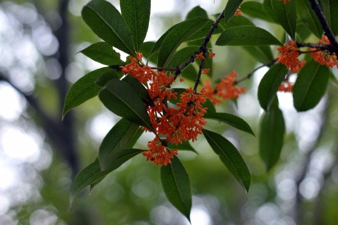 宫阙玉人多寂寞,相思多与世间来_新浪看点