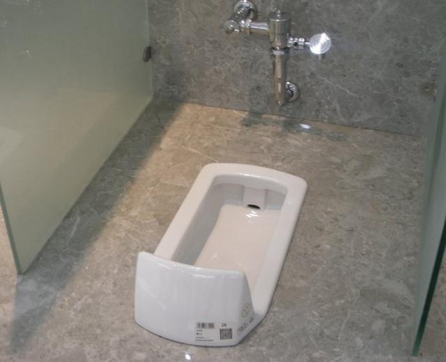 原来马桶改成蹲厕这么简单啊, 后悔之前花了600请人改了!