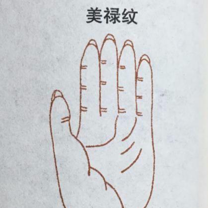 星座运势: 象征大富大贵以及名声地位非特别的手相掌纹, 有你吗?|手相|掌纹|星座_新浪新闻