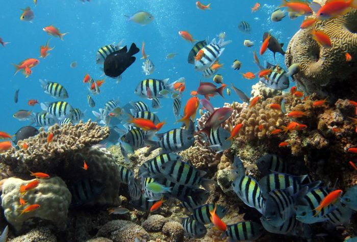 死海|马尔代夫|棉花堡_新浪新闻