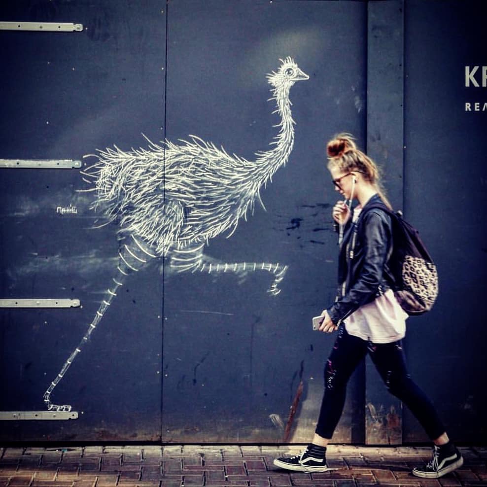 街头粉笔涂鸦 | 艺术家matt_tieu