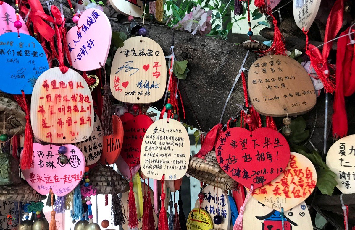 古镇一棵斜树被挂满祈福牌有人许愿一夜暴富早日脱单