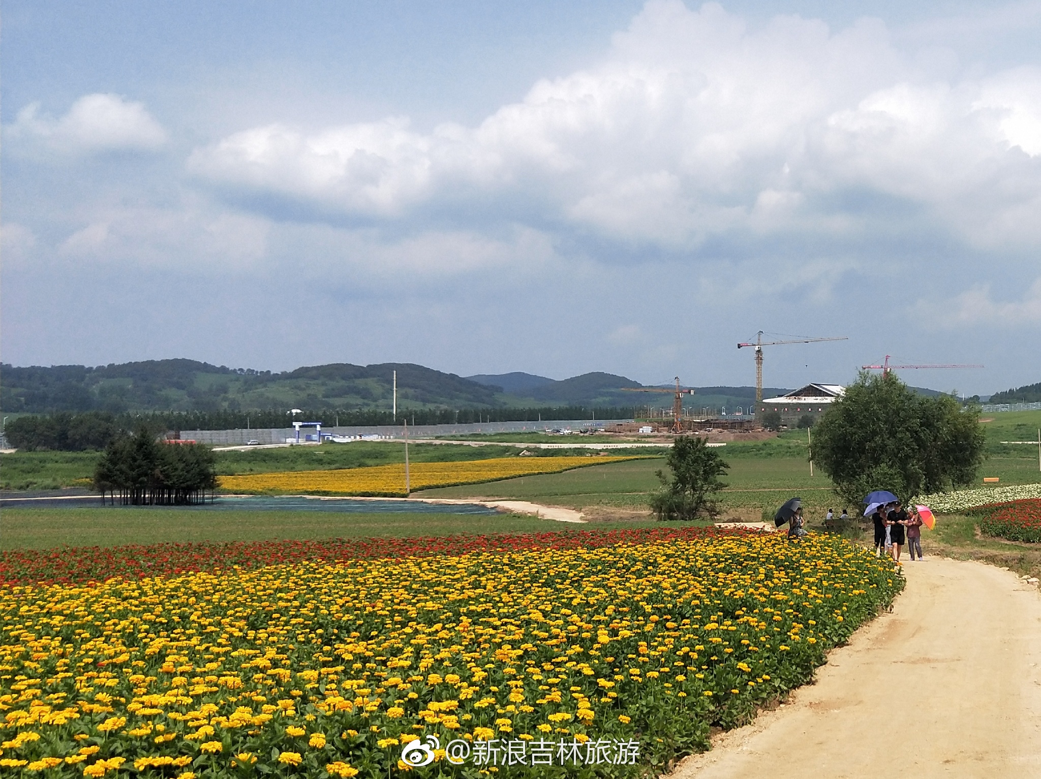 莲花山花海|游人赏花乐趣多|莲花山|度假区|花海_新浪新闻