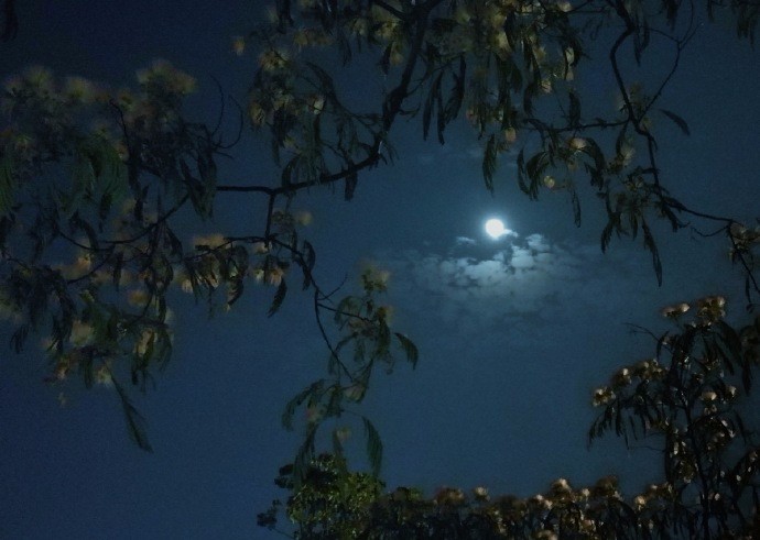 月在两山间,人在空明里|月色|山色|于水_新浪新闻