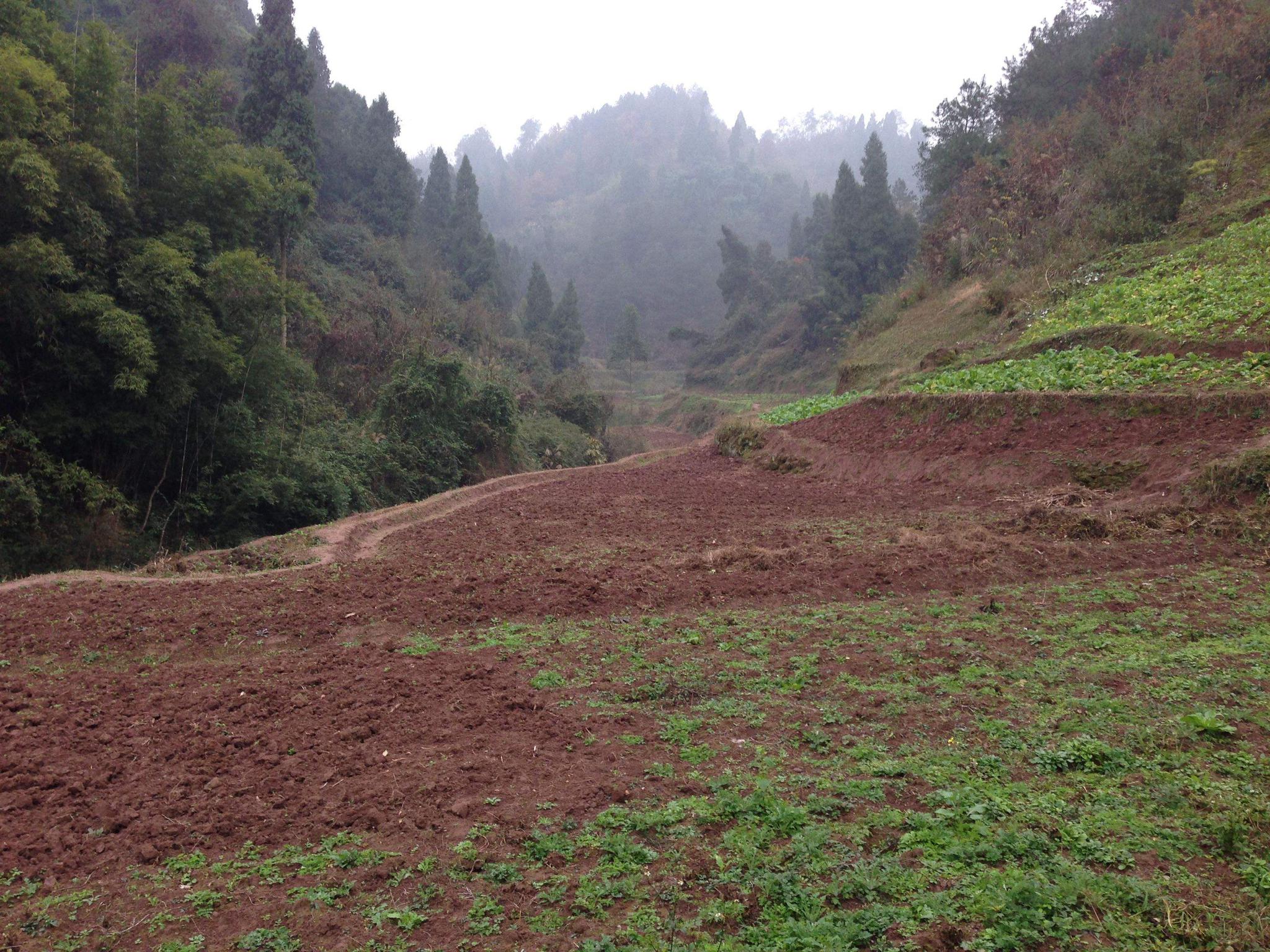 农村土地"禁令",三类人靠土地流转发财,两类人将遭处罚!