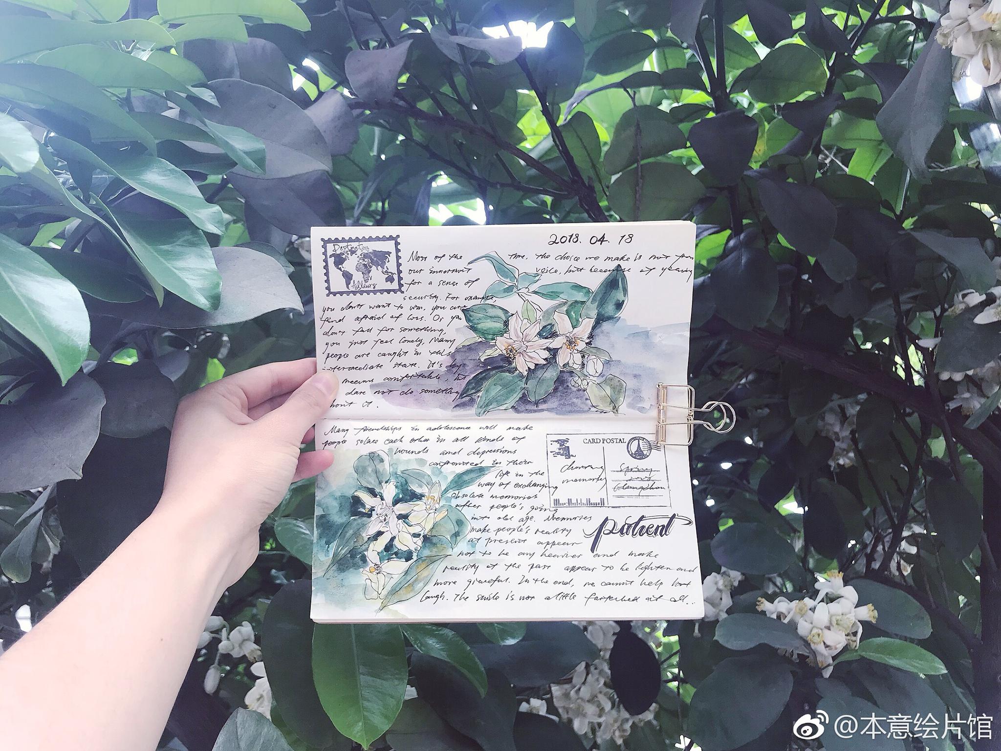 用手帐本记下春天绘画