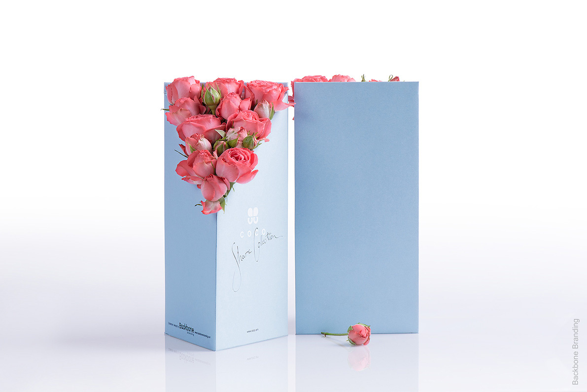 鲜花包装设计