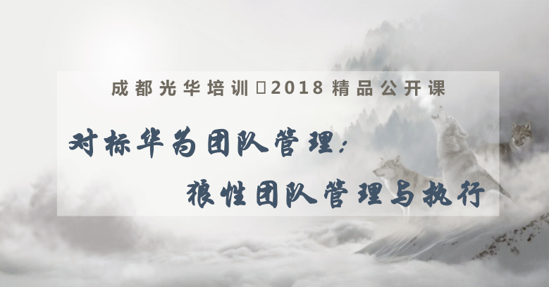 对标华为团队管理:狼性团队管理与执行