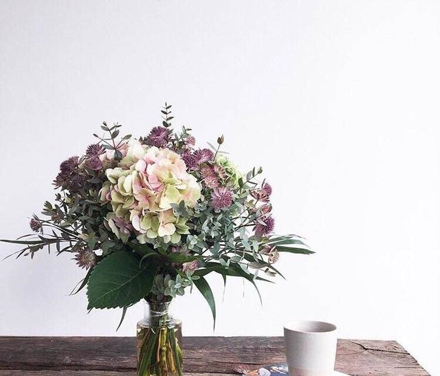 这些高格调的花摄影给你收藏了发朋友圈