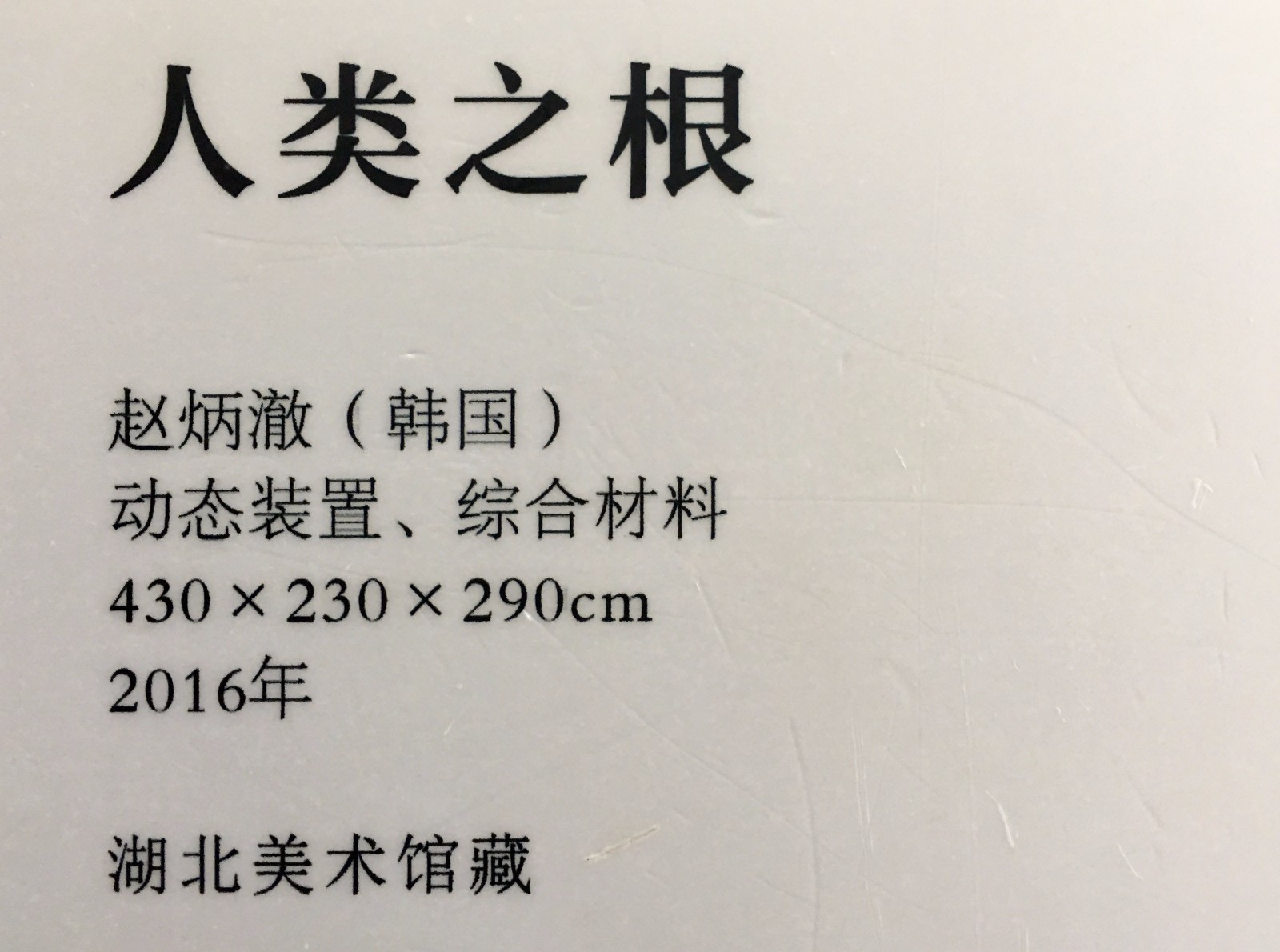 人类之根·一棵年轮永远静止在2014的百年银杏