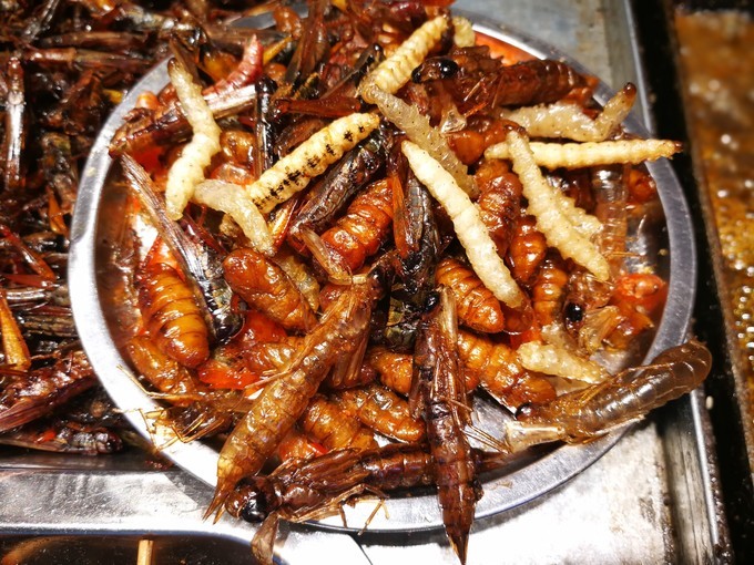 最刺激眼球的就是"丽江四宝"炸水蜻蜓,炸蜂蛹,炸竹虫和炸小鱼.