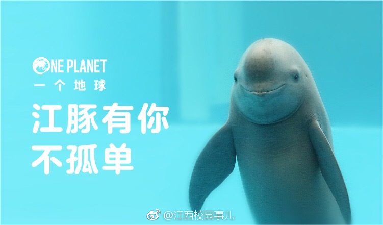 关注江豚保护项目一起来守护江豚的微笑