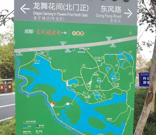 青龙湖是成都野生鸟数量和种类最多的地方,重要提示:捕鸟会坐牢!