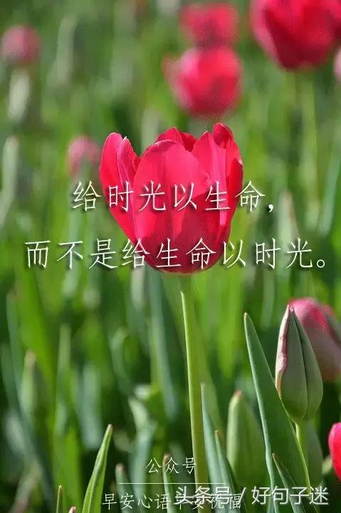 朋友圈阳光早安心语早安语录图片带字