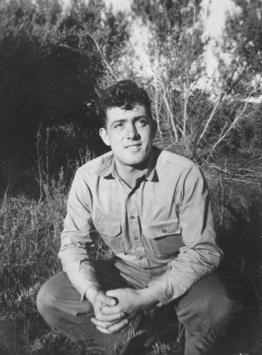 答案是两千名日军的性命|巴斯隆|日军|二战_新浪新闻