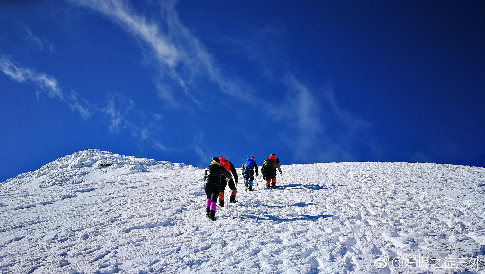 意味着什么?珠峰6200米采到种子,创纪录后隐藏了...