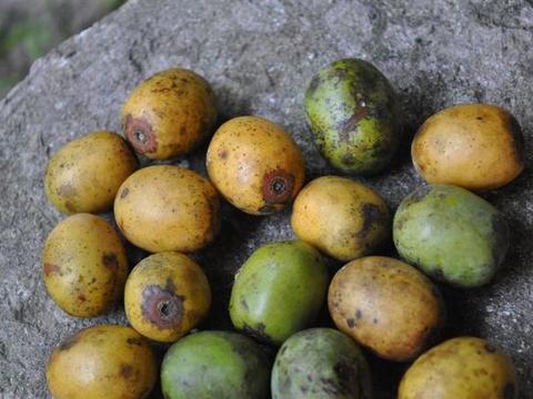 这个月起,各村将安排三类村官,让村民看到农村进步的希望