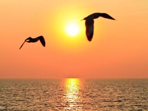 美到心醉描写夕阳的诗句,描写夕阳的唯美古诗词名句赏析|夕阳|诗句|落日|霜露|半江_新浪新闻