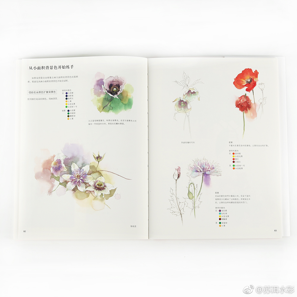 母亲节给大家送出这本东京艺术大学中村爱老师精心总结的水彩花卉五步 母亲节给大家送出这本东京艺术大学中村爱老师精心总结的水彩花卉五步