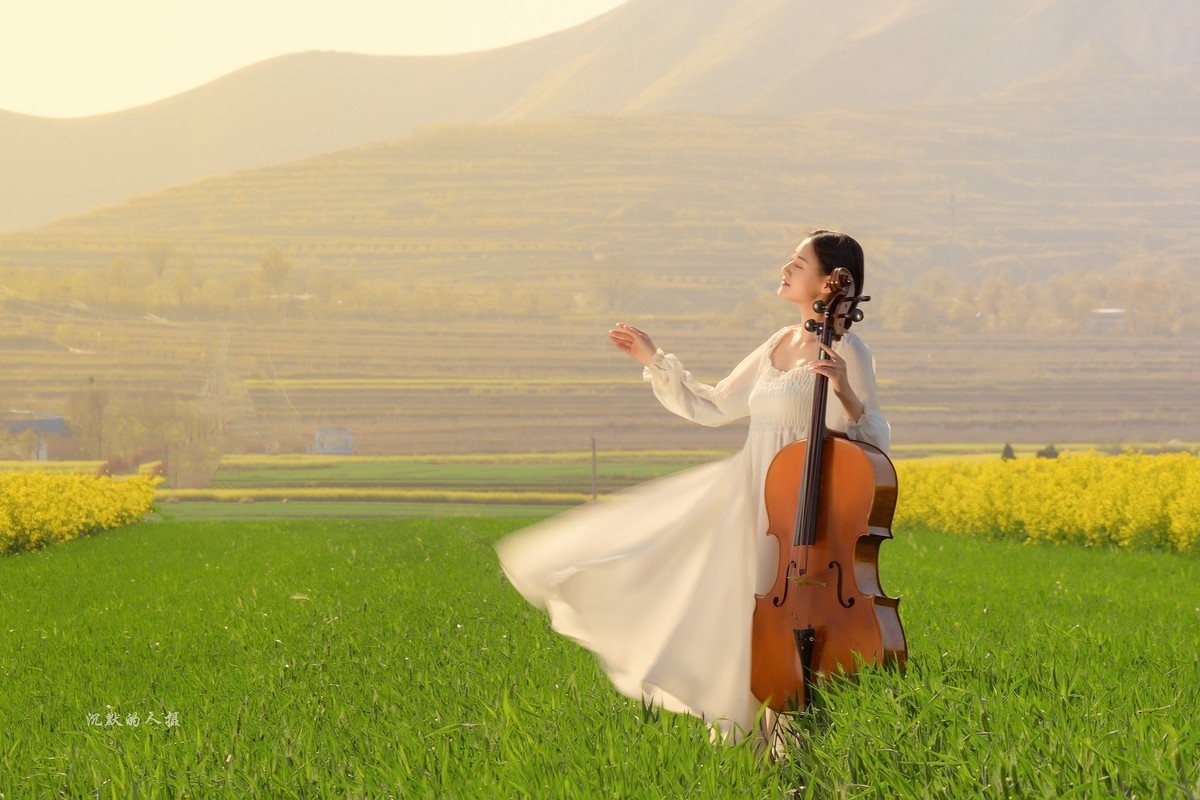 油菜花黄,琴声悠扬
