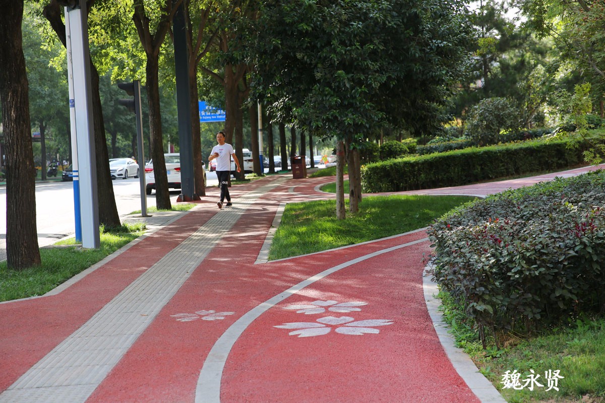 曲江升级版人行道:红色步道走着舒适看着美