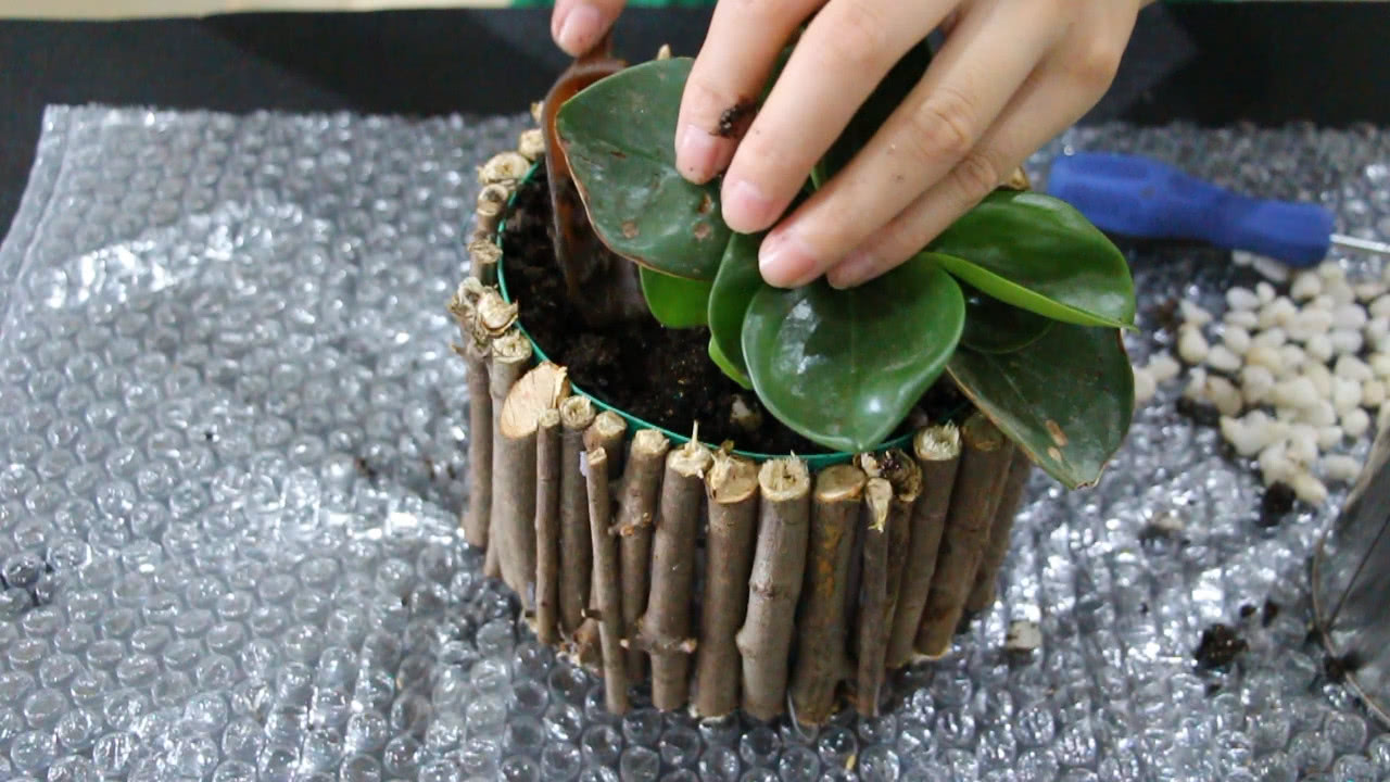 奶粉罐用完别扔,这样处理妙变时尚花盆,美观实用还能节省不少钱