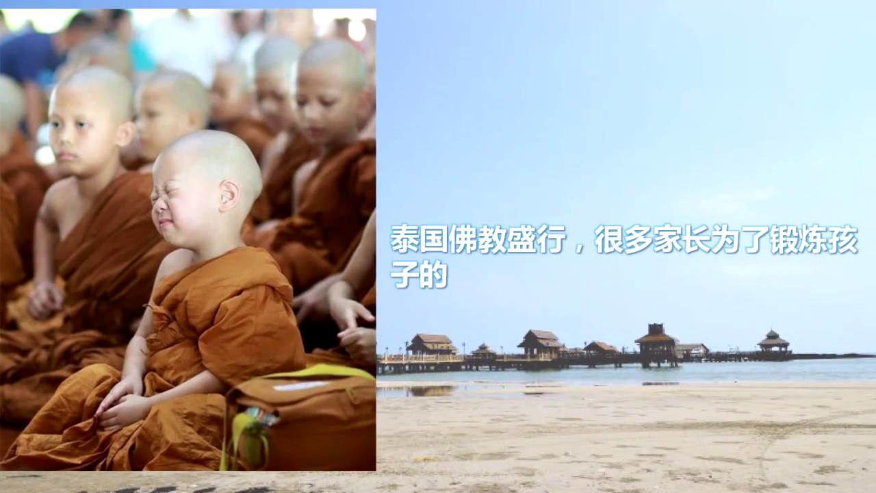泰国一小和尚一打坐就睡觉,却让很多网友怜惜
