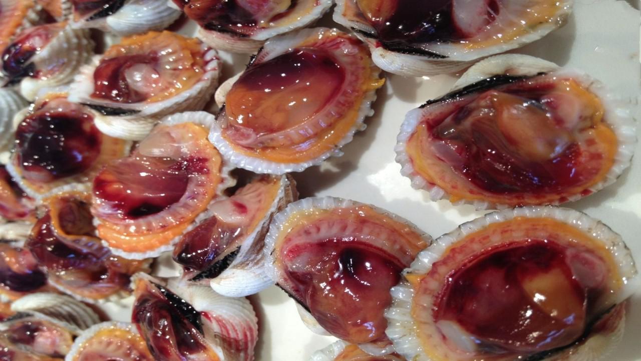 这种贝壳掰开全是血,为什么有人却喜欢生吃?看完整个人都不好了