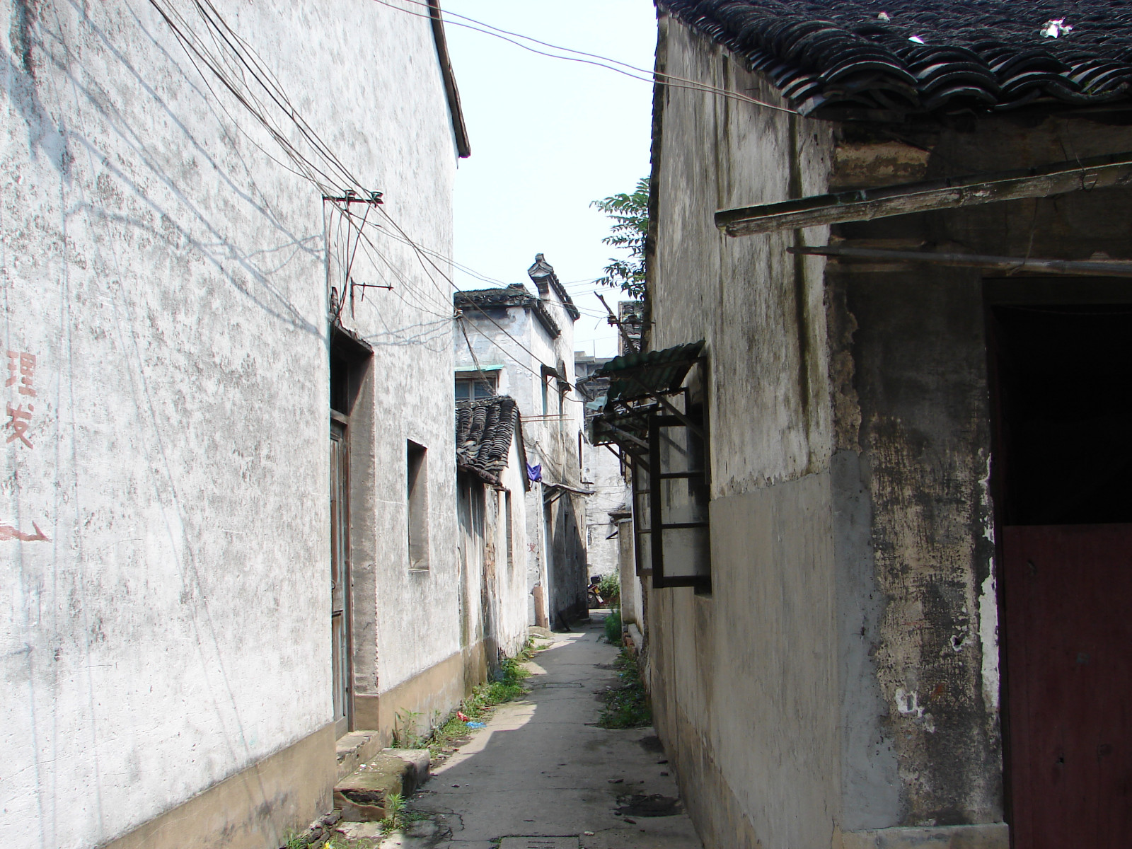 我的出生地菱湖镇的旧民居照片