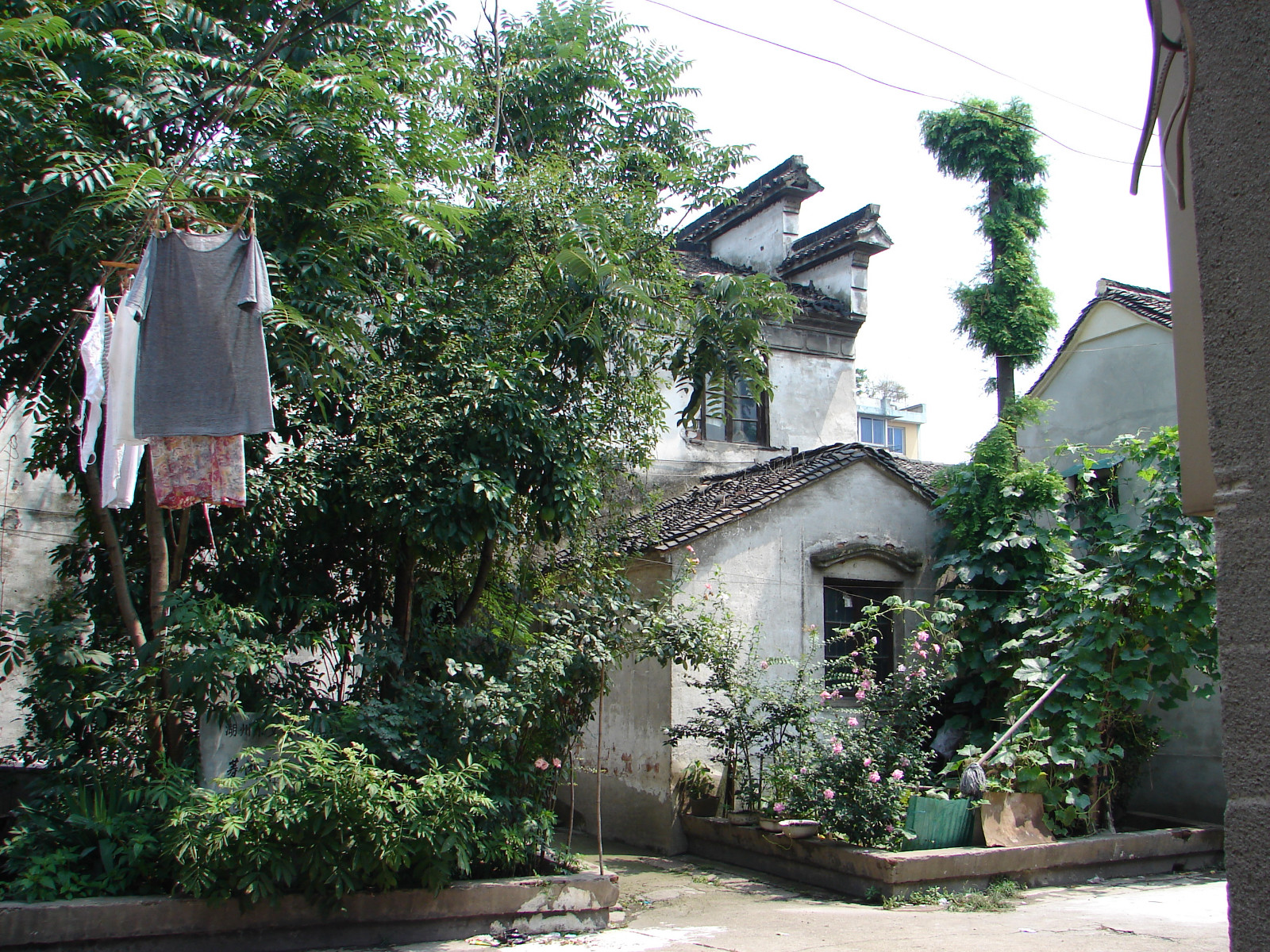 我的出生地菱湖镇的旧民居照片