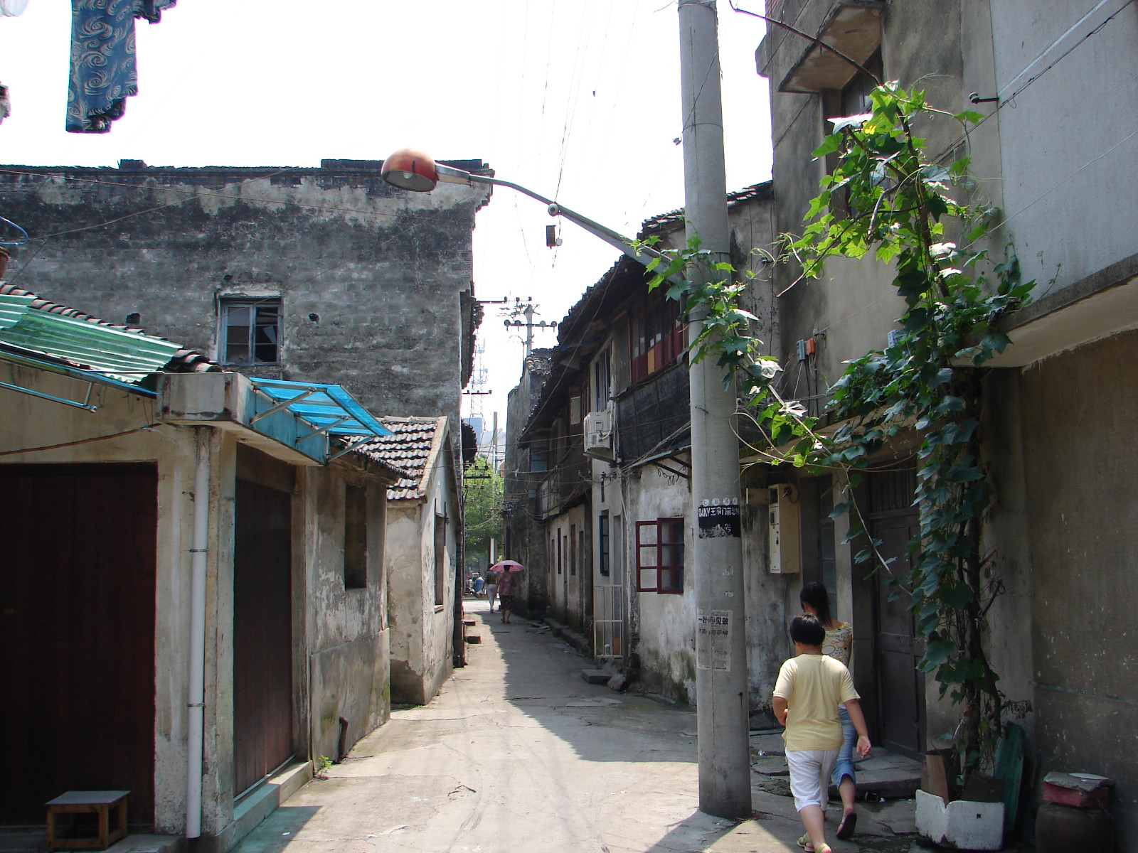 我的出生地菱湖镇的旧民居照片