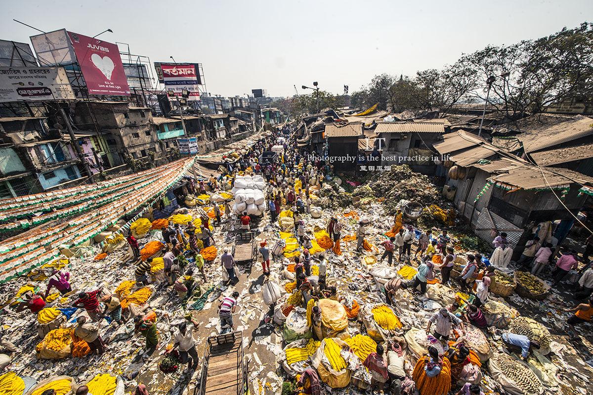 印度第三大城市这些不得不看的景点