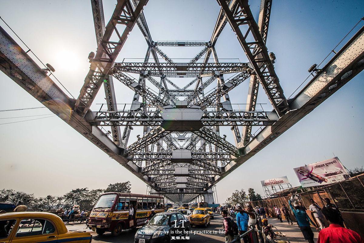印度榕桥图片