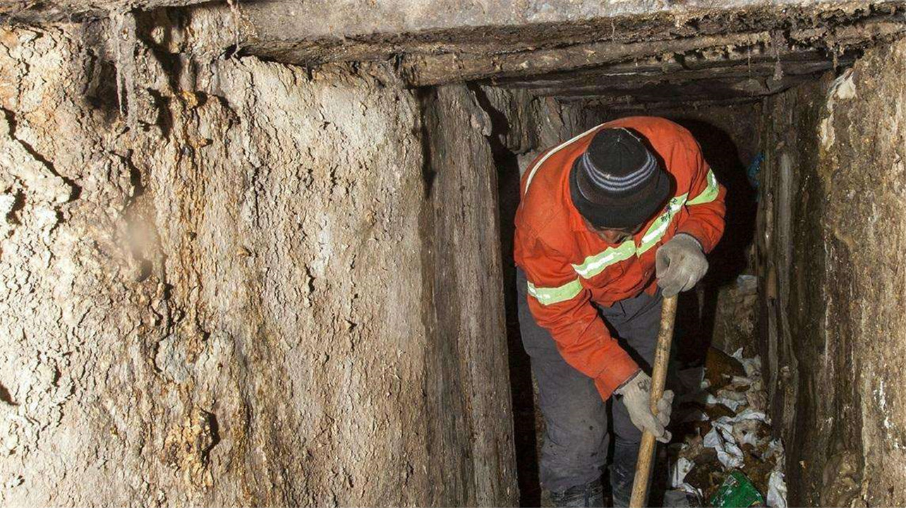 城市里每天产生的粪便最后都去哪了看完这个你就明白了