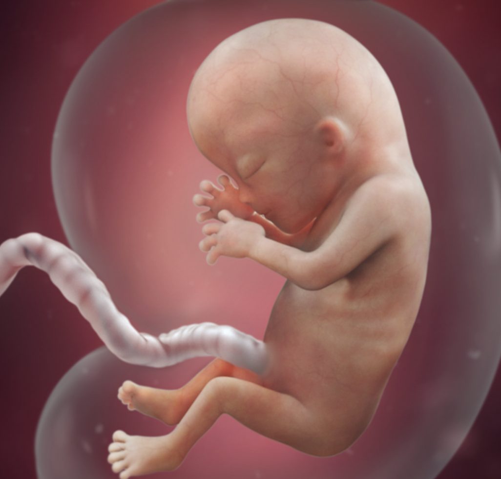 羡慕!婴儿发育"服务理念"-第1张图片-天福博客