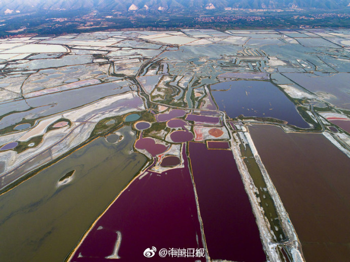 千年盐池变身“七彩”盐湖