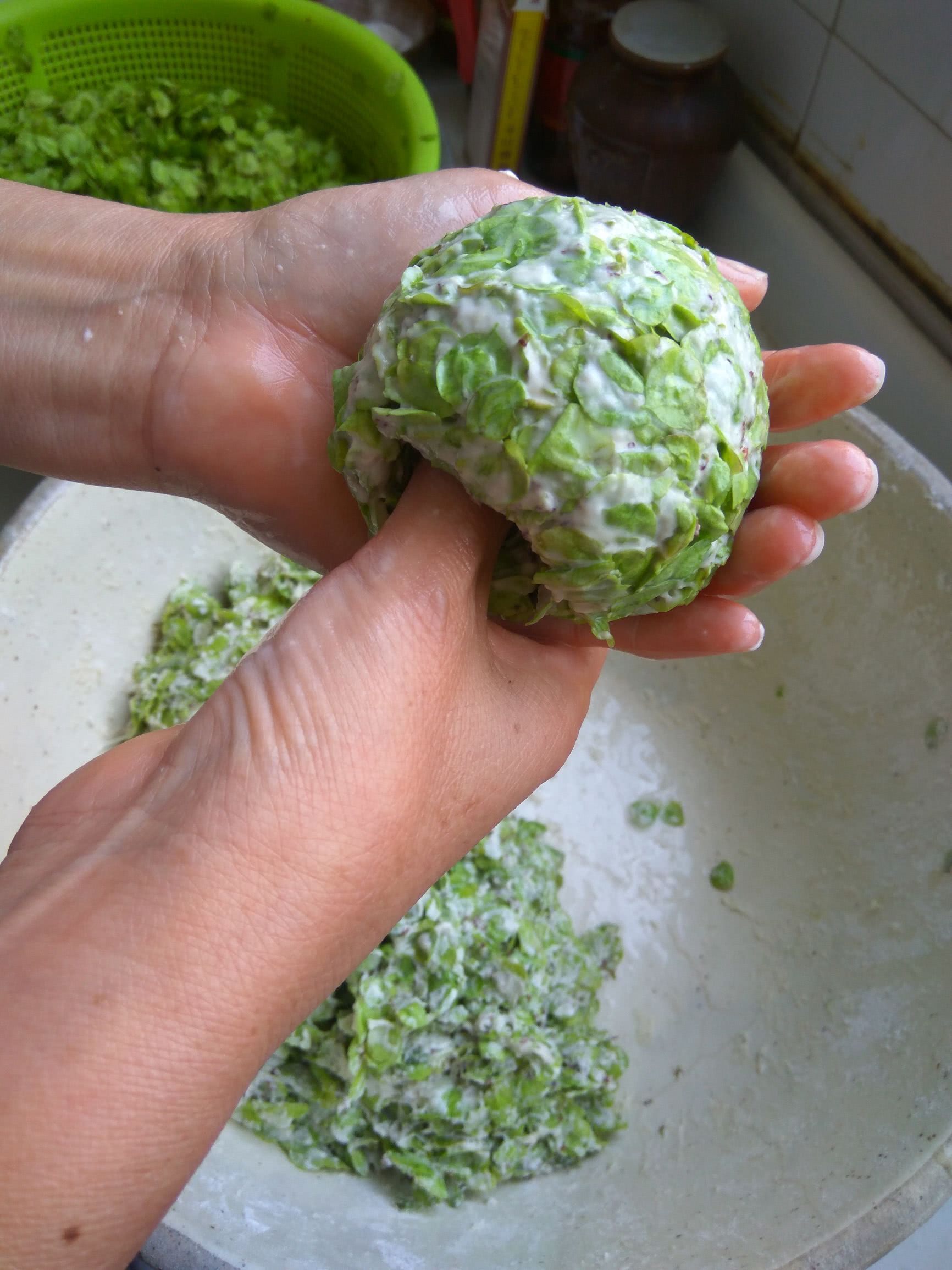 长在树上的天然野味榆钱,充满家乡味道的美食,你吃了吗