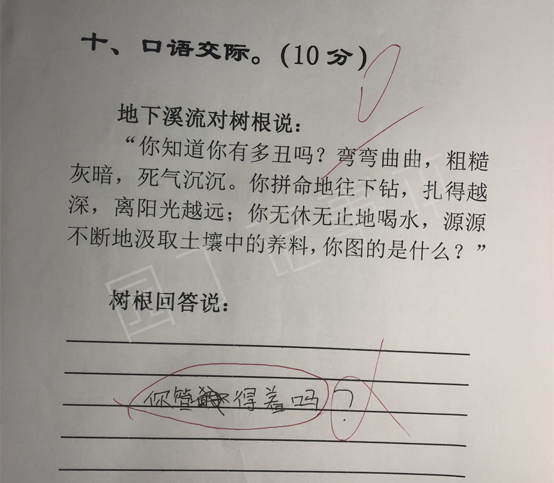 小學生日記98分語文老師笑趴在書桌媽媽追了3條街