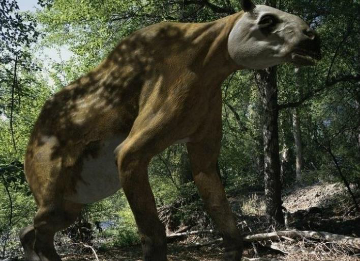 史前中国存在哪些稀奇动物,第3种或依旧残存下来|百家号|披毛犀|爪兽