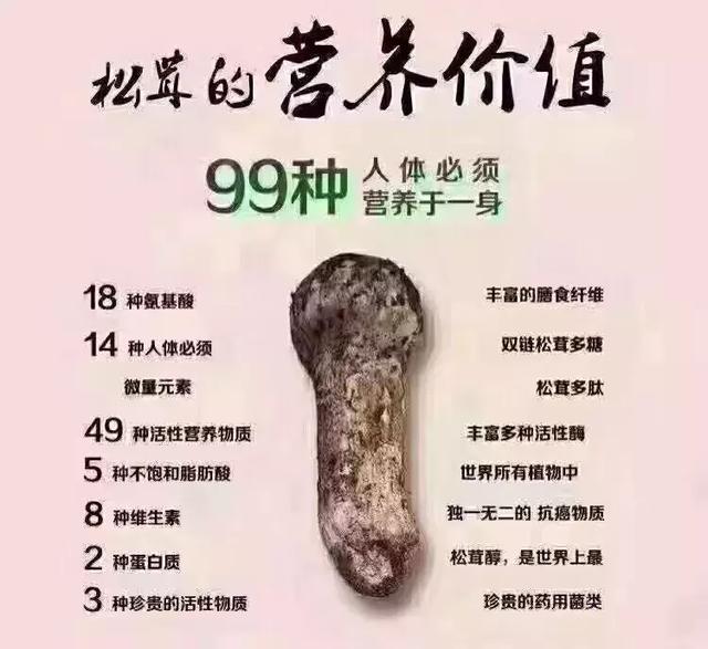 四川标准来了爱松茸的吃货以后放心吃