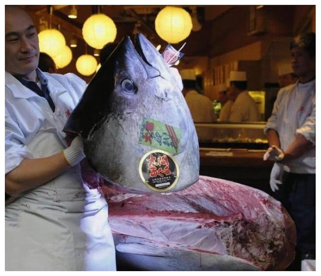 日本顶级鱼肉,吃一口花掉你一个月工资,中国吃货:家里没矿