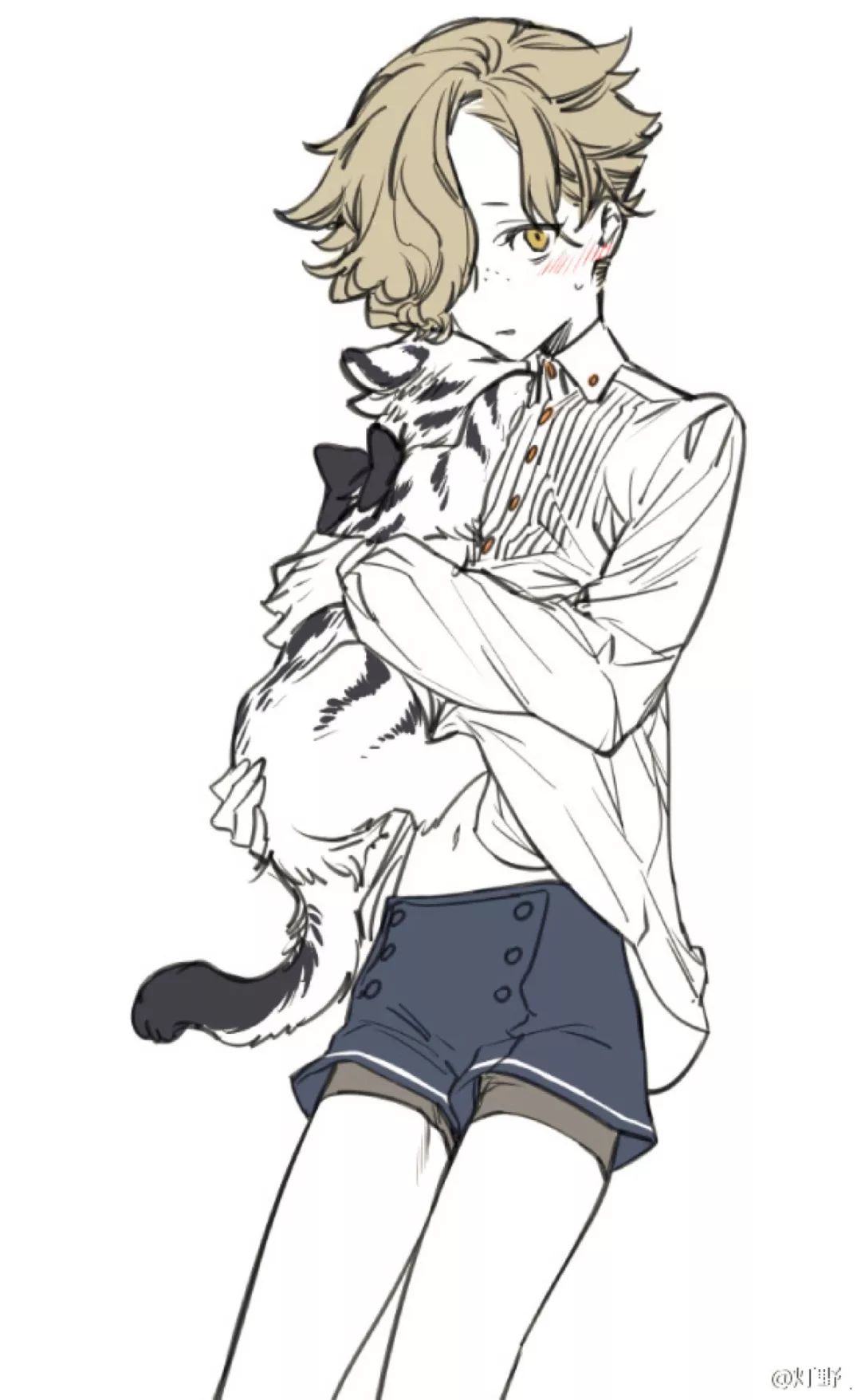 本期壁纸为五虎退