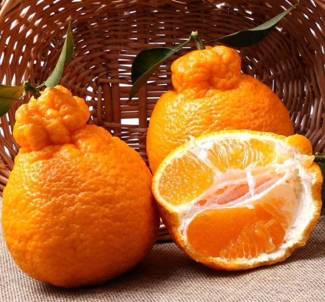 2021年耙耙柑价格股吧(耙耙柑行情价格行情)