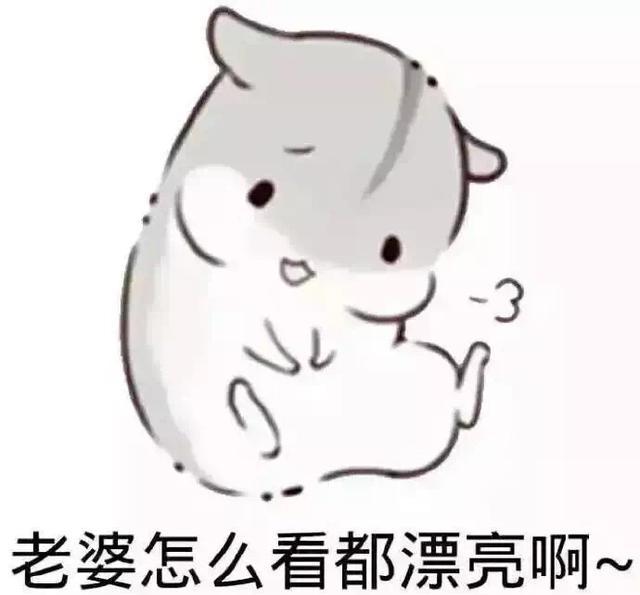 表情情侣套路能借我一块钱吗我想买小布丁