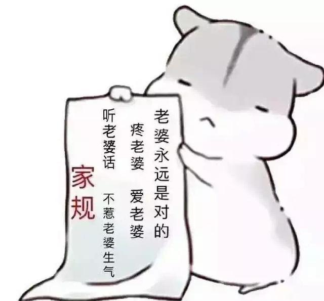 表情情侣套路能借我一块钱吗我想买小布丁