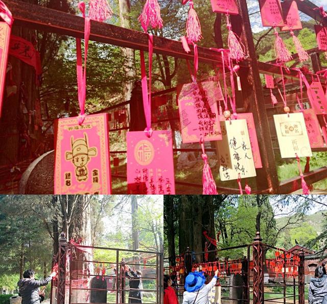 宣威东山:不一样的"三月三"