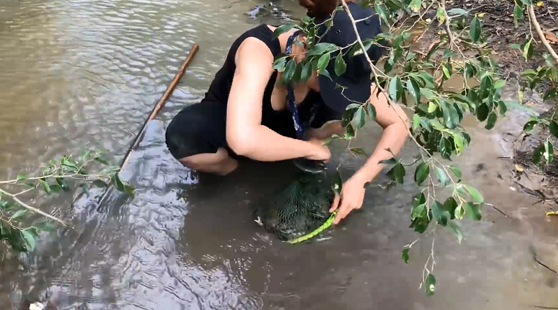 柬埔寨小姐姐:鱼叉捕鱼,还有鳗鱼