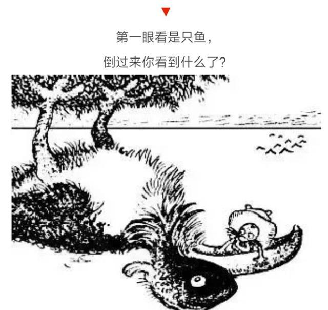 这组图片倒着看跟正着看居然差别这么大